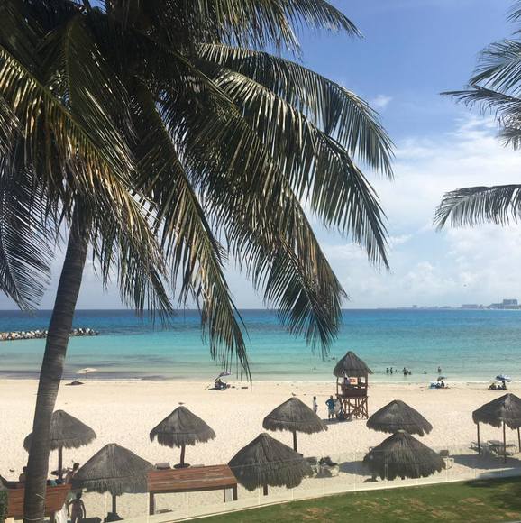 Meet your Posher, Ela - Picture 1 of 1